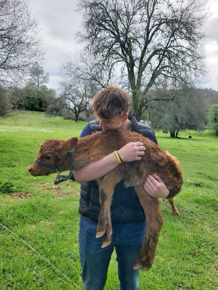 files/holding_baby_calf.jpg